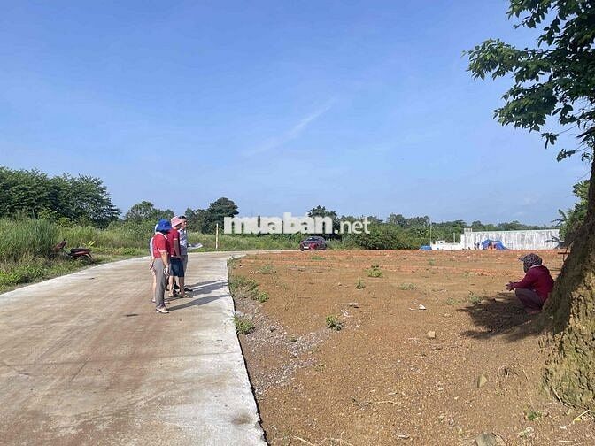 BÁN ĐẤT SÁT CHỢ SÔNG THAO BÀU HÀM 5/6/0TR