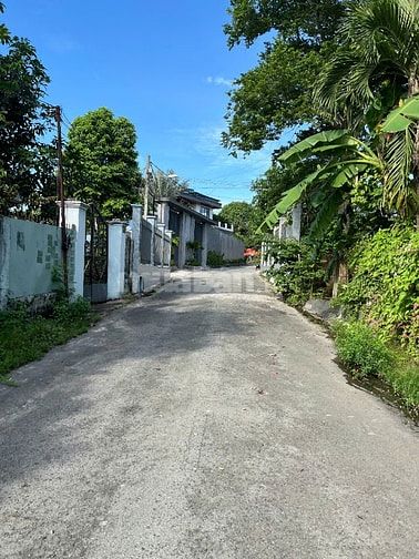 6 LÔ ĐẤT THỔ CƯ SẴN SỔ 150M2 TẠI PHAN ĐĂNG LƯU, TÂN AN GẦN ĐẠI NAM