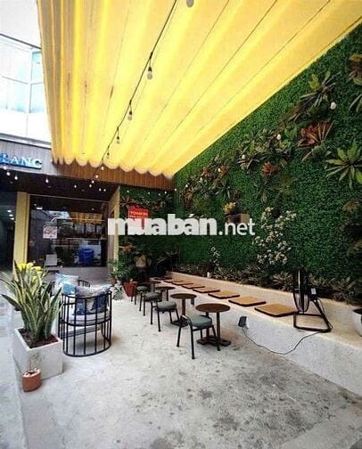 CHO THUÊ NHÀ NGUYÊN CĂN MẶT TIỀN ĐƯỜNG NGUYỄN TRI PHƯƠNG