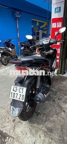 Shark cực kì đẹp