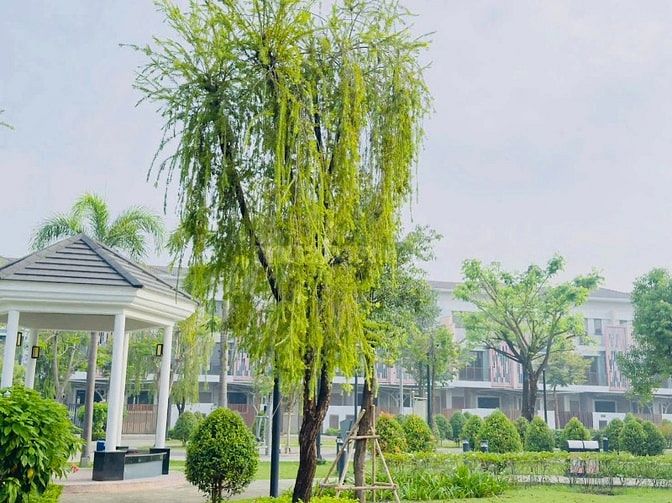 Cho thuê nhà 3 tầng Sun Casa Central Vsip 22 nội thất đầy đủ 15 triệu