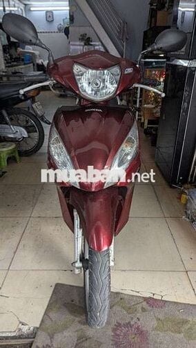 Xe Vision màu nho