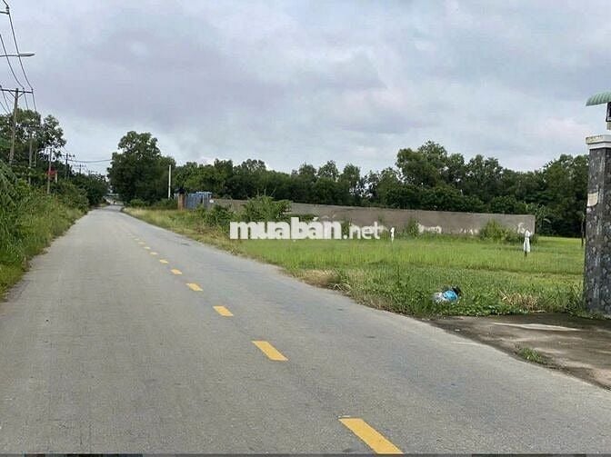 5X28M 400TR FULL THỔ MẶT TIỀN NHỰA LỚN TÂN AN HỘI, SHR