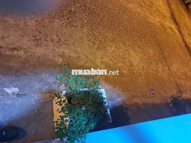Tìm người ở ghép Nguyễn Văn Quá, Quận 12