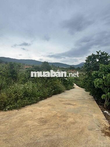 Chính chủ cần bán lô đất TT Nam Ban 163m2 Ven Đà Lạt