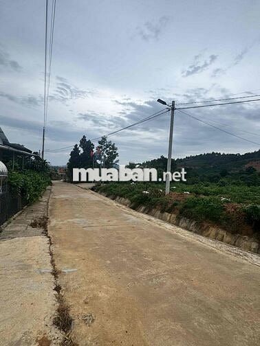Chính chủ cần bán lô đất TT Nam Ban 163m2 Ven Đà Lạt