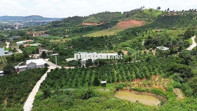 Chính chủ cần bán lô đất TT Nam Ban 163m2 Ven Đà Lạt