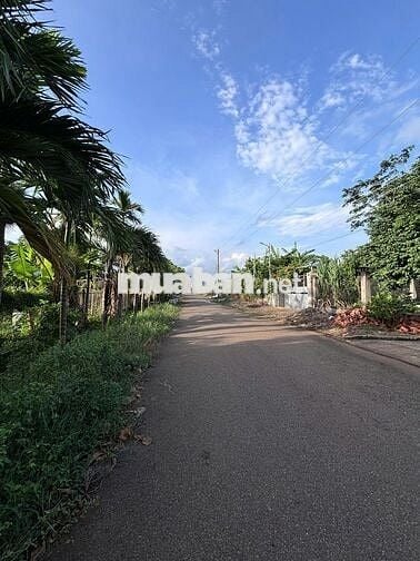 Lô đất cực hiếm ĐƯỜNG SỐ 15 – HÒA LONG, TP. BÀ RỊA