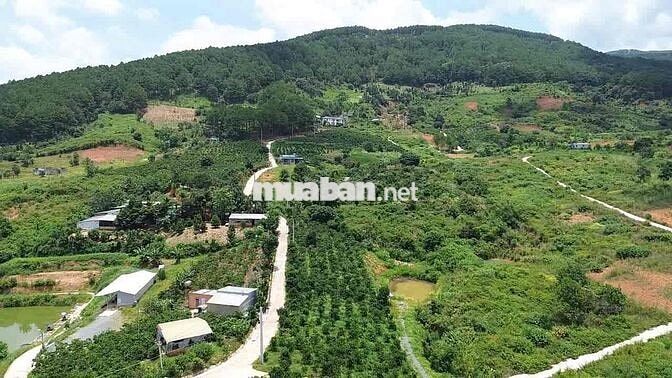 Chính chủ cần bán lô đất TT Nam Ban 163m2 Ven Đà Lạt