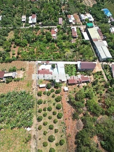 Bán Nhà Vườn 3000m2 Cẩm Mỹ,  Đồng Nai có dòng tiền thu nhập hàng tháng