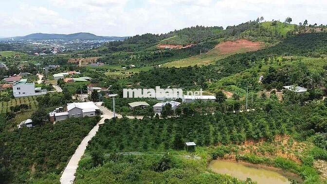 Chính chủ cần bán lô đất TT Nam Ban 163m2 Ven Đà Lạt