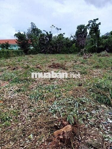 Bán đất đường QL91, Phường Tịnh Biên, Thị Xã Tịnh Biên, An Giang