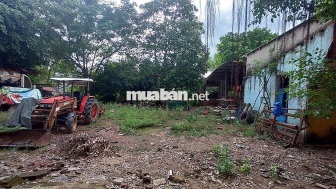 Đất nhà vườn mặt tiền đường 14H, Duy Hoà, Duy Xuyên