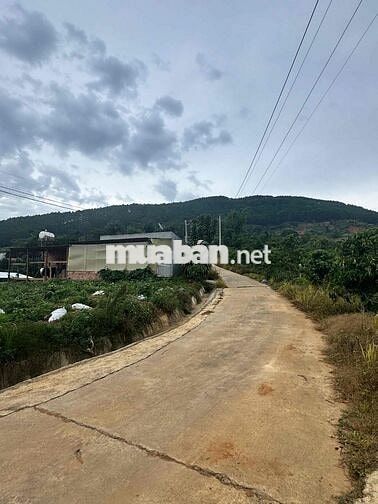Chính chủ cần bán lô đất TT Nam Ban 163m2 Ven Đà Lạt