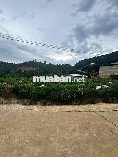 Chính chủ cần bán lô đất TT Nam Ban 163m2 Ven Đà Lạt