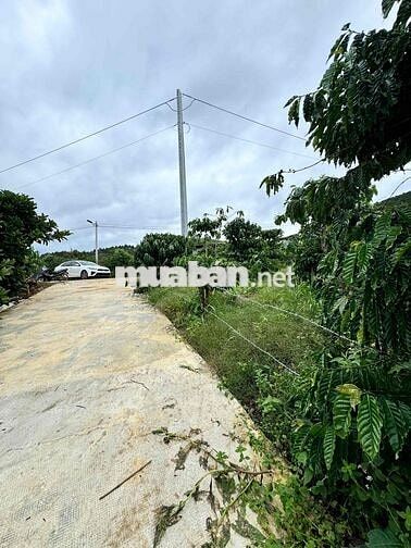 Chính chủ cần bán lô đất TT Nam Ban 163m2 Ven Đà Lạt