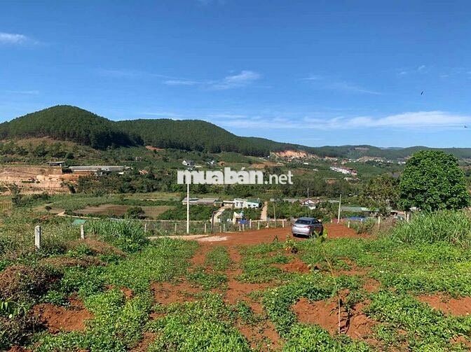 Bán 430m2 đất thổ cư cách địa phận TP. Đà Lạt 9km