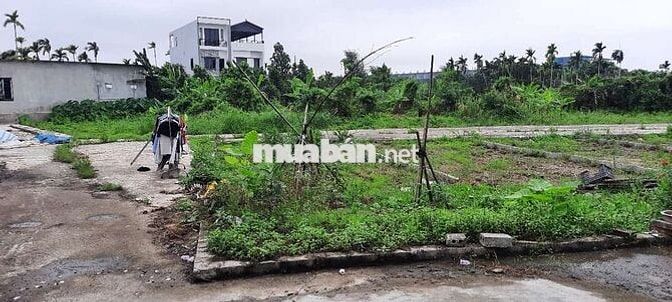 Đất bìa tổ 9 hòa nghĩa dương kinh hải phòng