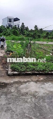 Đất bìa tổ 9 hòa nghĩa dương kinh hải phòng