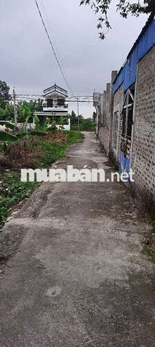 Đất bìa tổ 9 hòa nghĩa dương kinh hải phòng