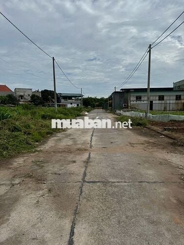 3.311 tỷ - Đất 86m2 đấu giá Đình Tổ 2 mặt thoáng