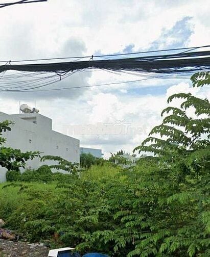 Đất ngon giá rẻ 1 tỷ 1255 cho 83,5m2 SHR,Đào Sư Tích,Phước Lộc,Nhà Bè