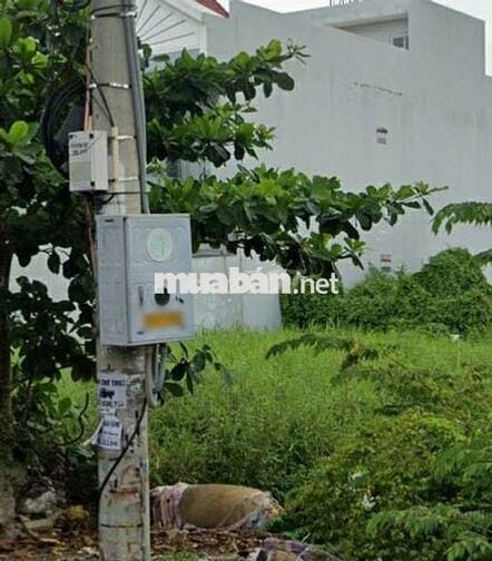 Đất ngon giá rẻ 1 tỷ 1255 cho 83,5m2 SHR,Đào Sư Tích,Phước Lộc,Nhà Bè