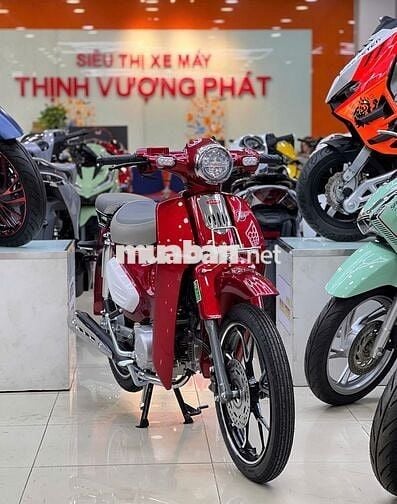 Yalim Cub 50cc KHÔNG CẦN BẰNG LÁI, TIẾT KIỆM XĂNG