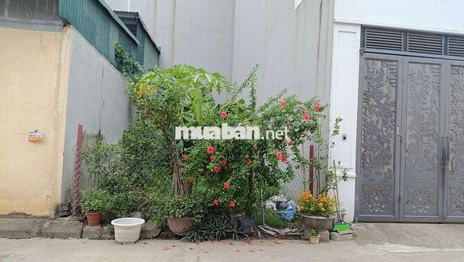 BÁN ĐẤT TRUNG TÂM THIÊN LỘC (ĐẠI MẠCH)GẦN ĐƯỜNG TỈNH LỘ 23