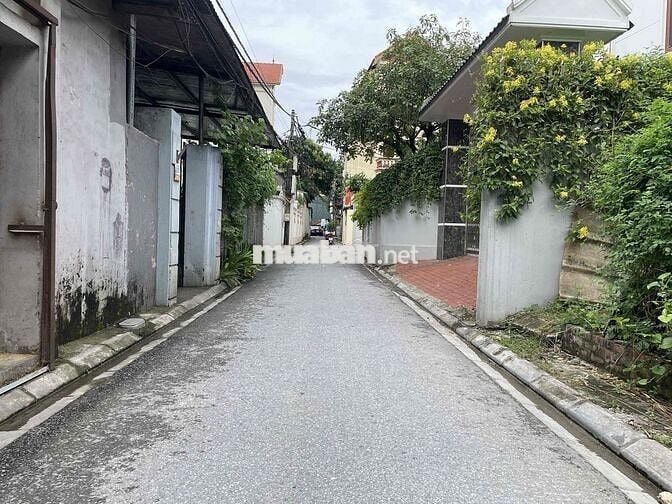 Bán đất thổ cư 104 m2, ngõ thông oto đỗ cửa tại Kim Chung Đông Anh.