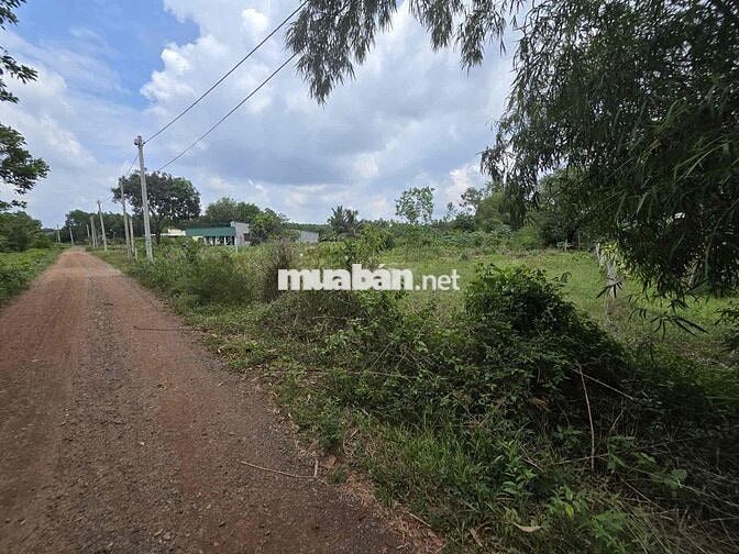Lô đất 1000m ngay Hàm Tân Quốc Lộ 55 vào 200m thổ cư