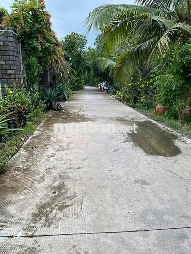 Chính Chủ cần bán lô đất 91m2 ODT full thổ cư 100%- TT Hiệp Hoà