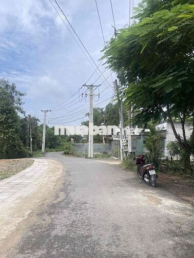 BÁN GÓC 2MT ĐƯỜNG NHỰA XÃ ĐỒI 61_TRẢNG BOM