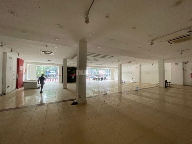 Siêu hót cho thuê 440m2, mt: 20m mặt phố Phạm Ngọc thạch, Đồng Đa 