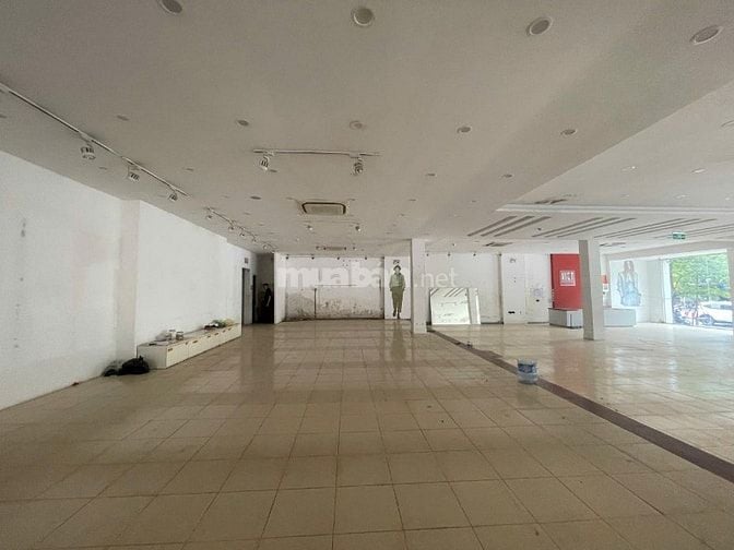 Siêu hót cho thuê 440m2, mt: 20m mặt phố Phạm Ngọc thạch, Đồng Đa 