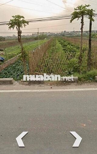 Cần bán 447m đất tại Vân côn , An Khánh, HN