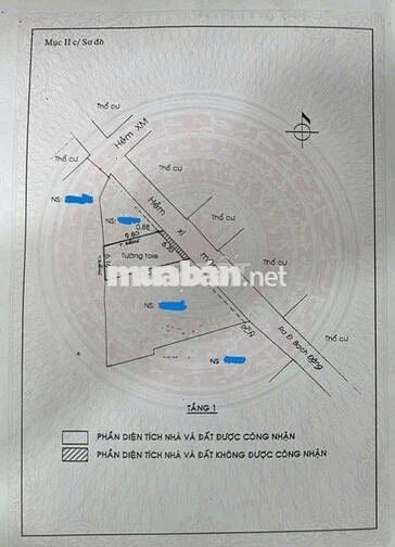 (S:220M2)KHU VIP HXH, BẠCH ĐẰNG, P2( TÂN SƠ HÒA) N:6.2M,GIÁ 13.5 TỶ TL