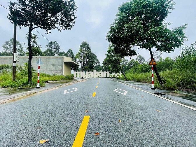 ❌Bán Đất Giá Rẻ TDC Định Hoà 150M Full Thổ Cư Gần ĐH Quốc Tế Miền Đông