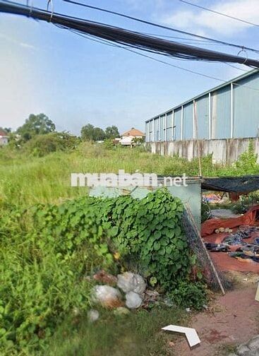 Gia đình lục đục cần bán gấp đất dt 98,5m2 giá 846tr Bình Chánh