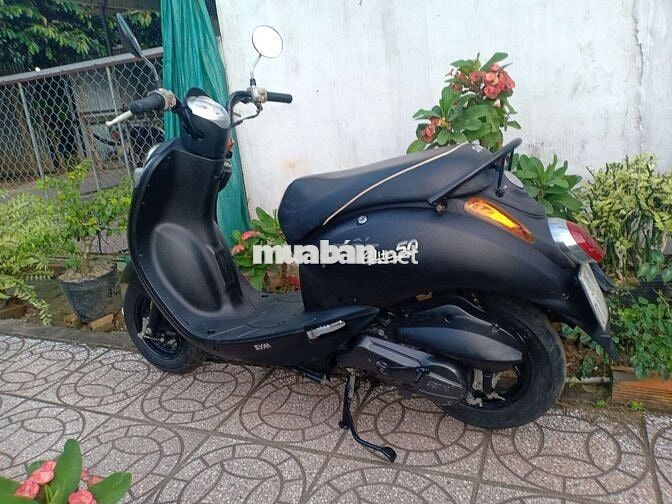 SYM elite 50 xe học sinh