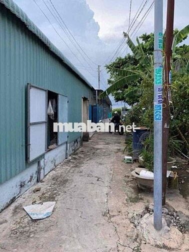 Cần Bán Nhà Cấp 4 Hẻm Xe Ô Tô 2pn 1 phòng khách Cách Quốc Lộ 1A 800m