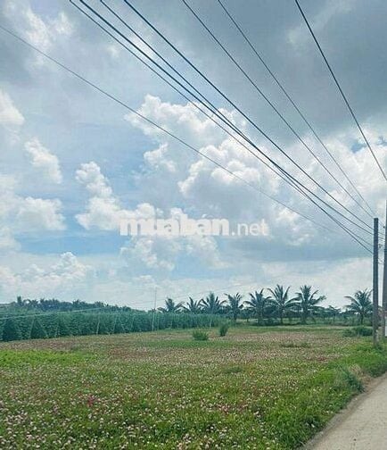 Đất đẹp ngay biển Tân Điền Beach xã Tân Điền ,Gò Công Đông,Tiền Giang