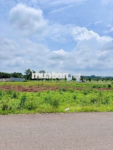 ĐÂT NGỘP HÒA LONG BÀ RỊA - 637m2 Sổ Sẳn Sang Tên Ngay