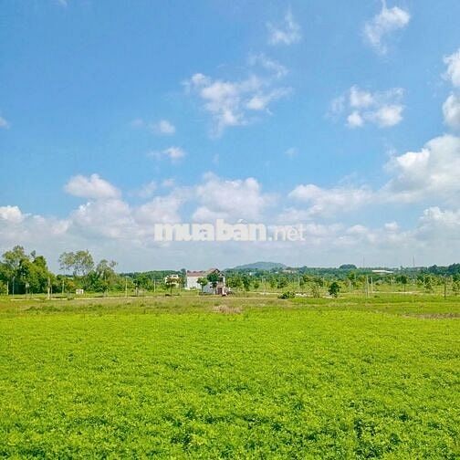 ĐÂT NGỘP HÒA LONG BÀ RỊA - 637m2 Sổ Sẳn Sang Tên Ngay