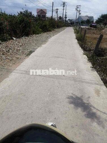 Cần Bán Nhà Cấp 4 Hẻm Xe Ô Tô 2pn 1 phòng khách Cách Quốc Lộ 1A 800m