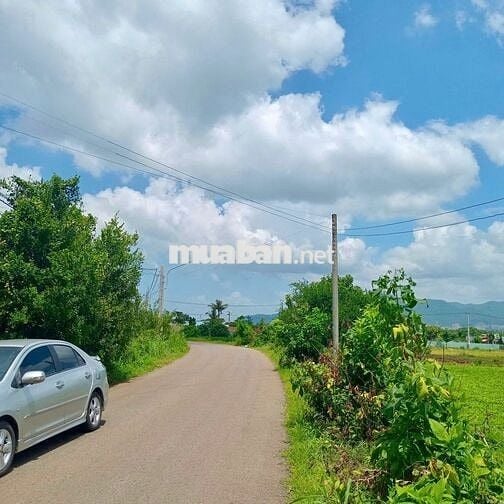 ĐÂT NGỘP HÒA LONG BÀ RỊA - 637m2 Sổ Sẳn Sang Tên Ngay