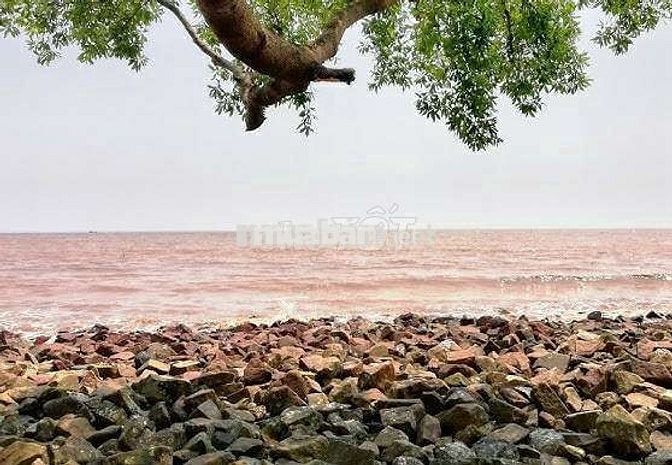 Đất đẹp ngay biển Tân Điền Beach xã Tân Điền ,Gò Công Đông,Tiền Giang