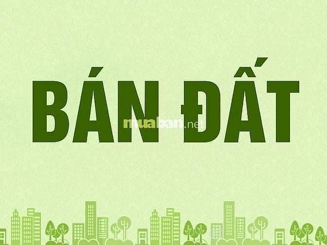 CẦN BÁN ĐẤT ĐỨC HUỆ – LONG AN, ĐẤT FULL THỔ CƯ, SỔ HỒNG CHÍNH CHỦ