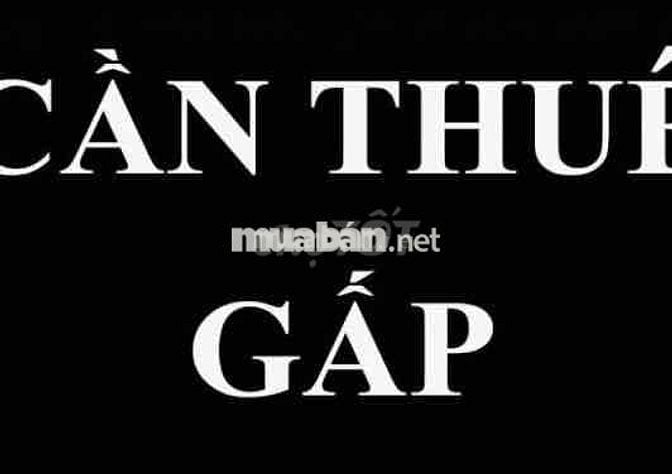 📣 CẦN THUÊ NHÀ NGUYÊN CĂN GẤP – TÀI CHÍNH 10 TRIỆU/THÁNG