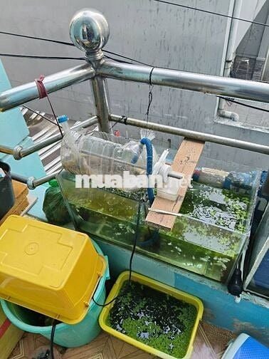 Nhà hẻm xe tải Tân Trụ  46.5m² ngang 4m – 4PN – Tân Bình – 4.75 tỷ